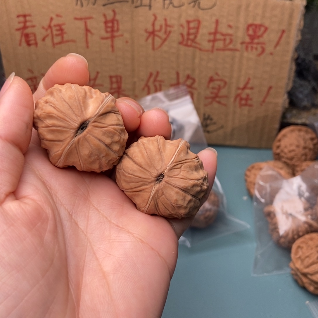 钢***哥把件文玩核桃龟甲7