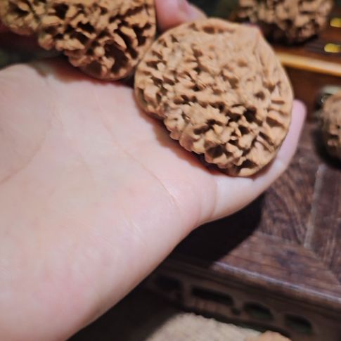 吊坠文玩核桃51龙鼎管帽