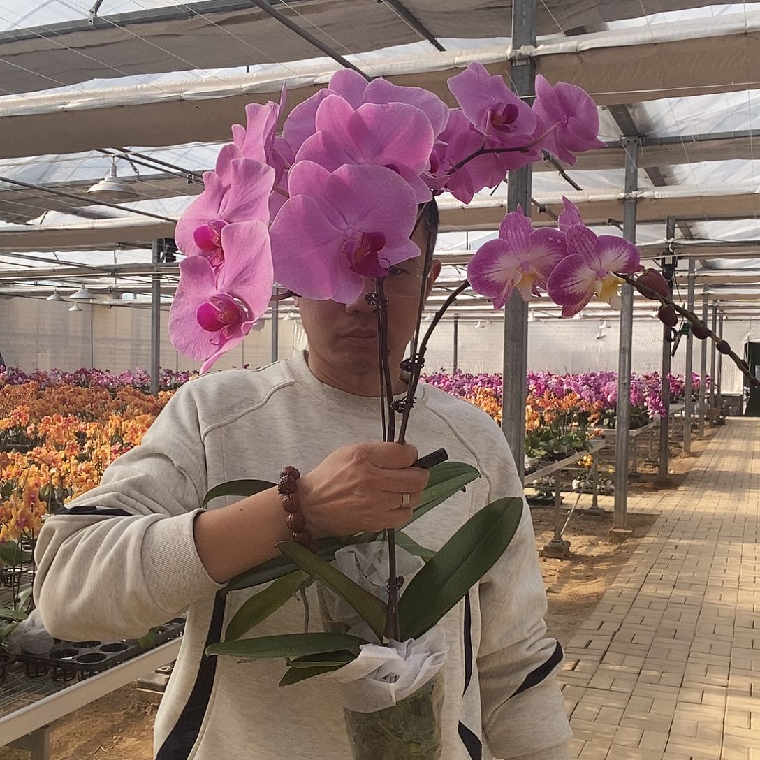 Y***～完全开放树杈明尼➕斯普利特