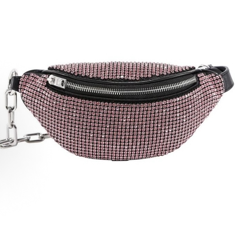 未使用 ALEXANDER WANG 乱乱子中古/女士/腰包/118130