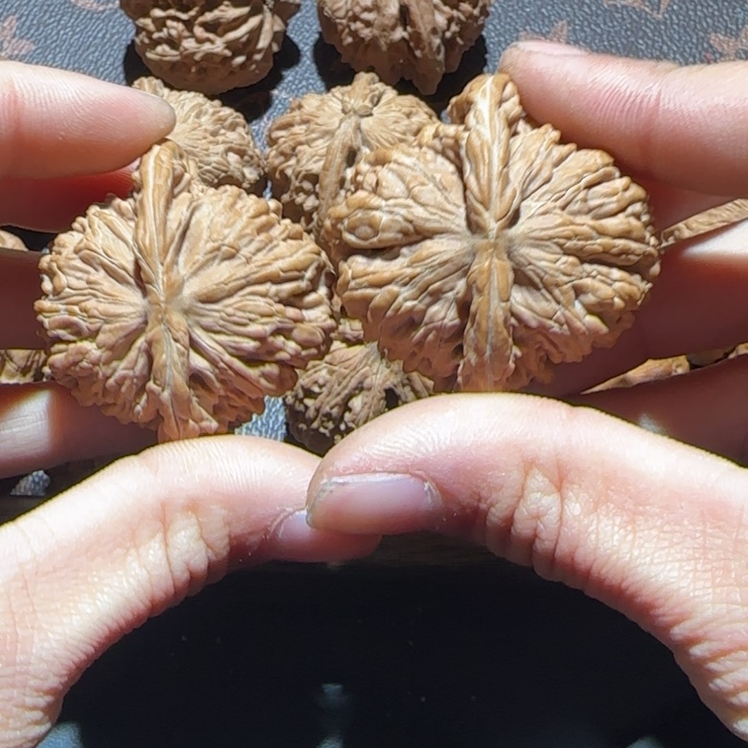 J*z47 四座楼全品无修111