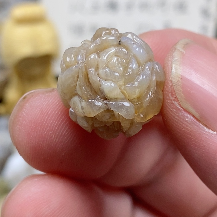 颈饰未镶嵌硅化珊瑚（珊瑚玉）通孔