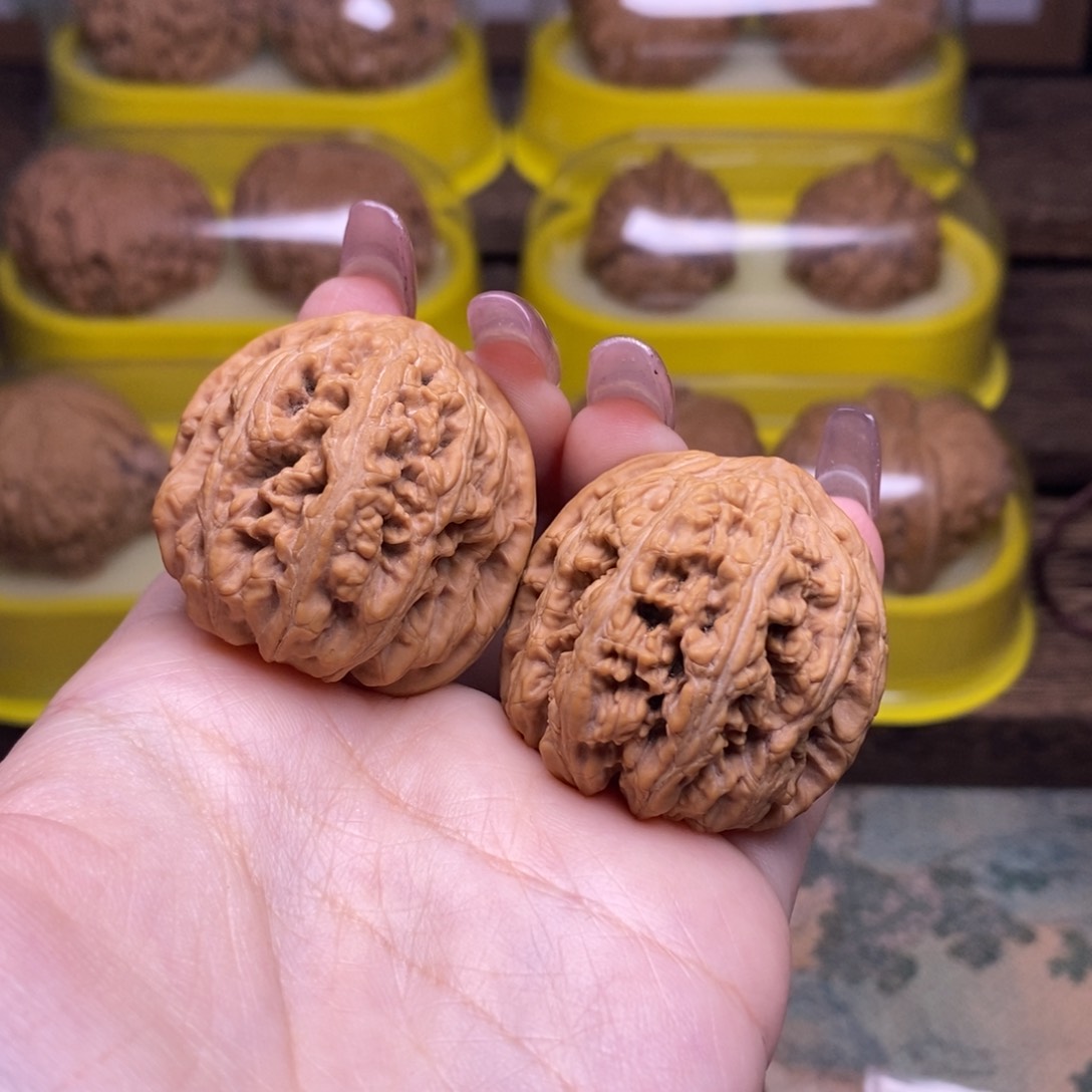 文玩核桃把件全品35尺小粗筋