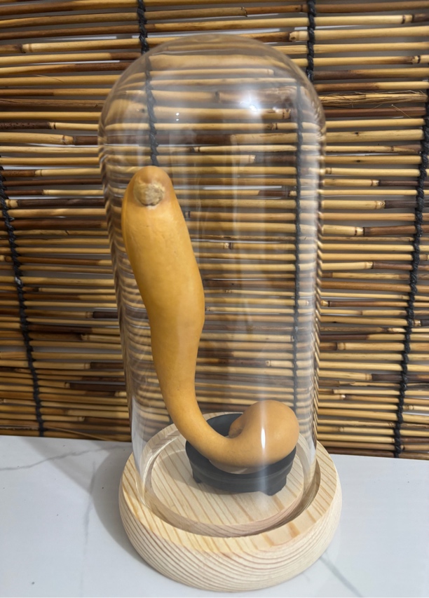 异葫画手工摆件一号链接【直播间一物一拍，私自下单不发货】