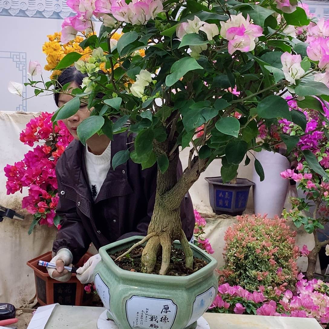 完全开放我要好好学习