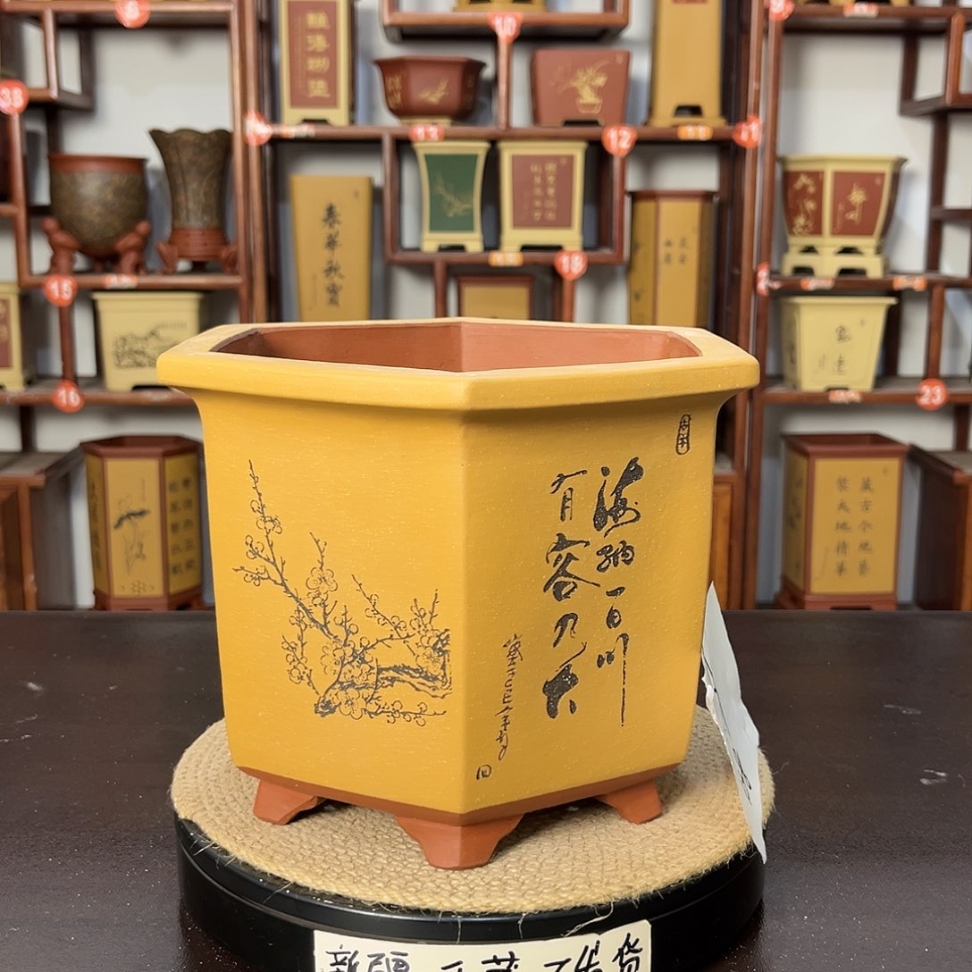 紫砂花盆紫砂花盆