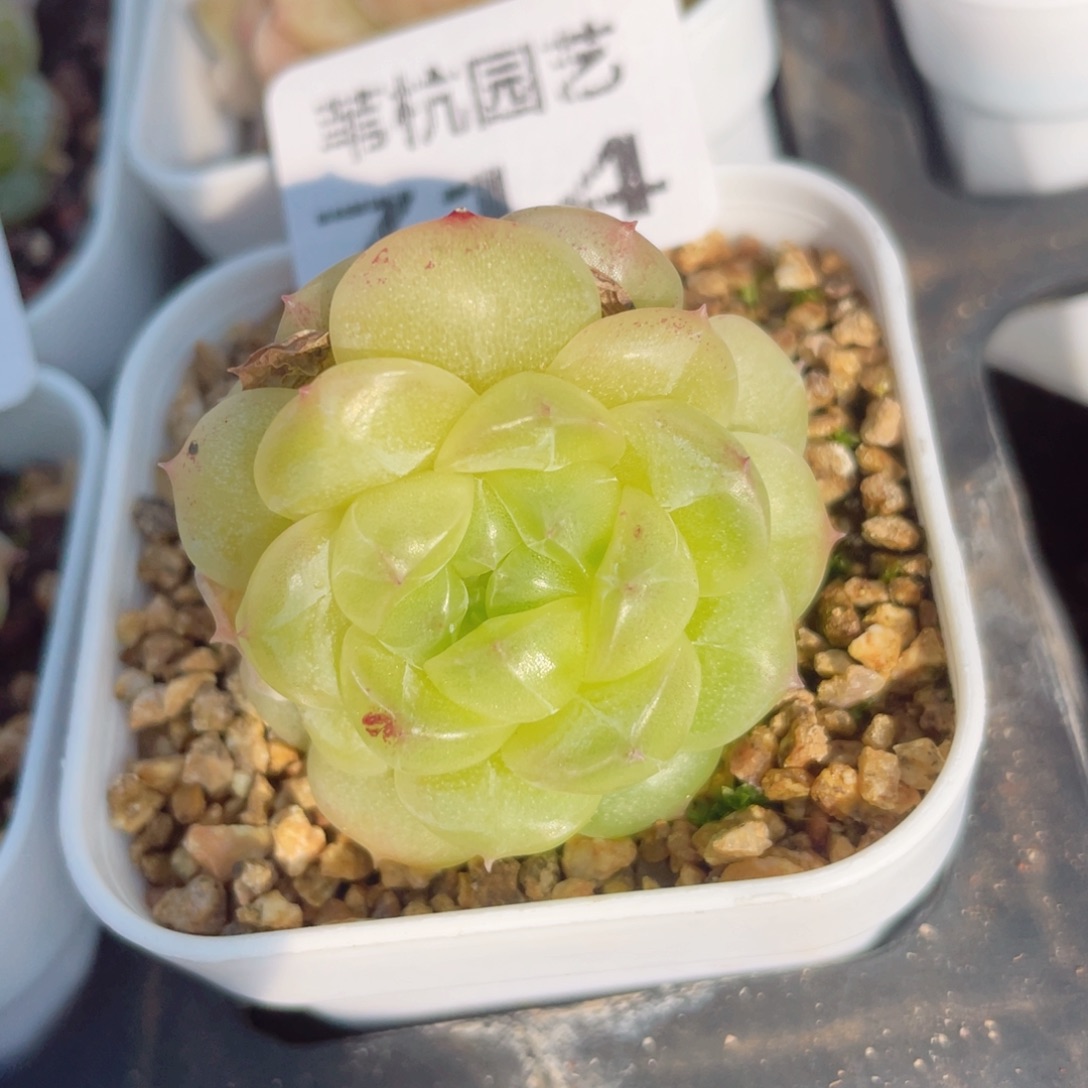 714为我爱他心永远在路上