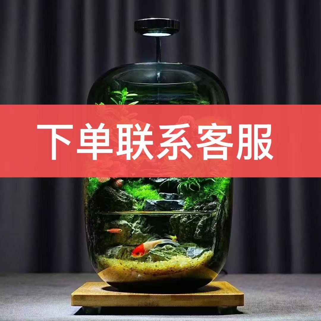 通用tn6量化盆栽【咨询客服】领大A用tn6量化工具盆栽