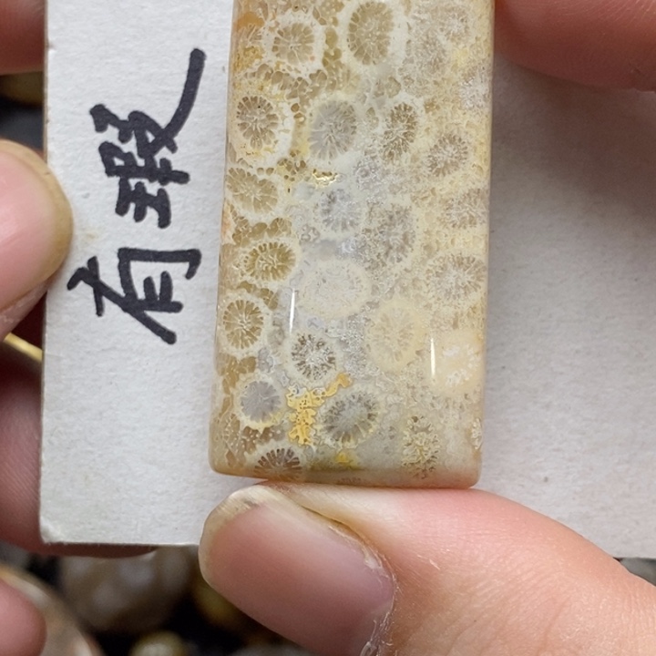 硅化珊瑚（珊瑚玉）未镶嵌颈饰