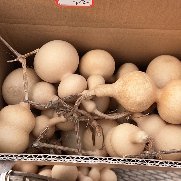 8747高升葫芦恭喜发财