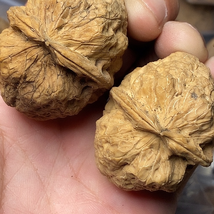 把件文玩核桃云南铁核桃53