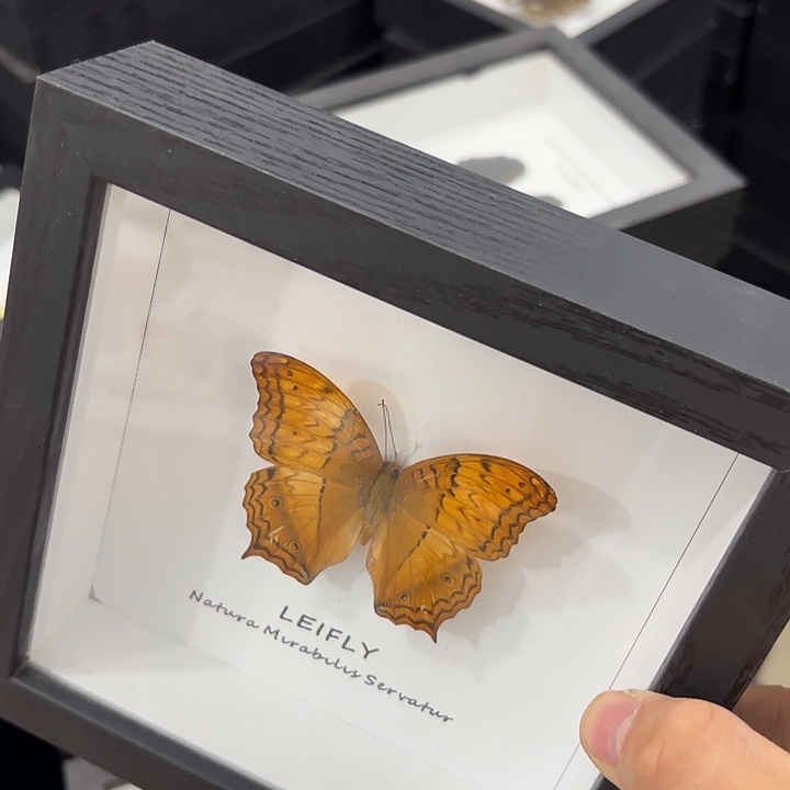 方框白底随机发一个