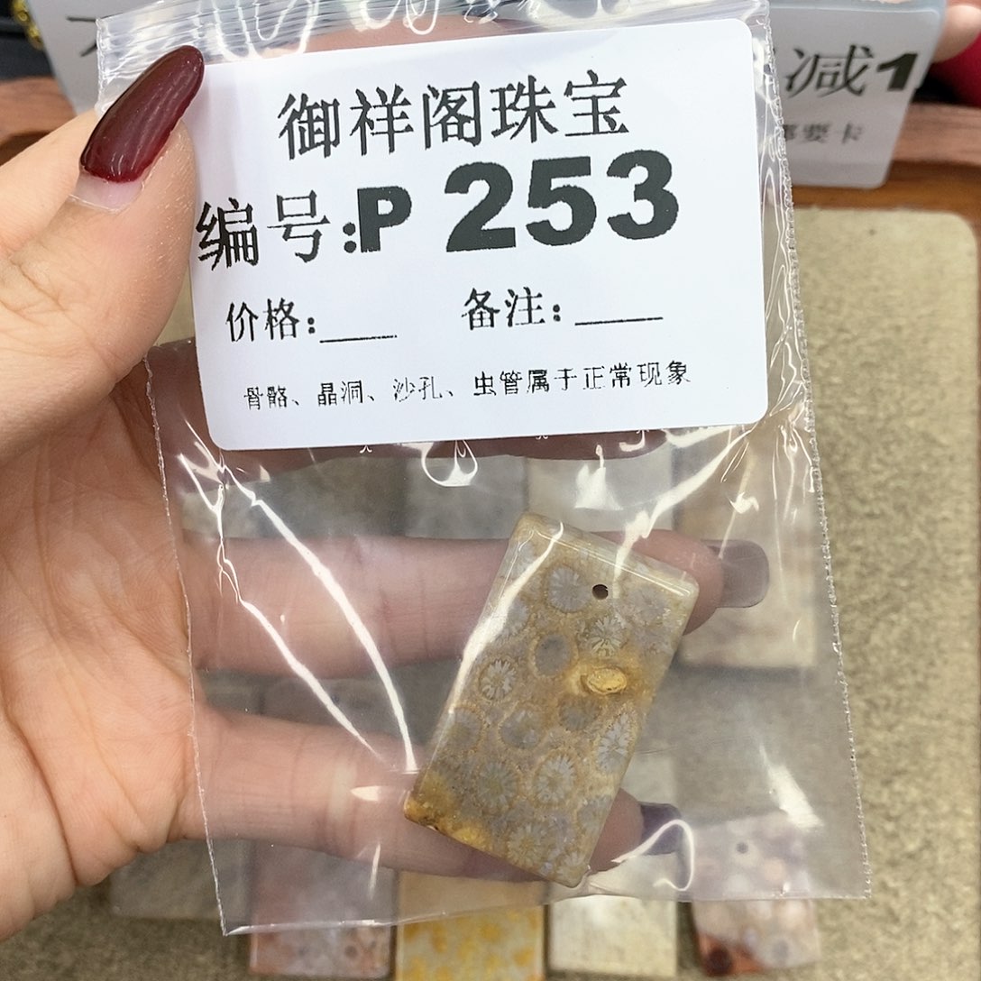 硅化珊瑚（珊瑚玉）P未镶嵌小*