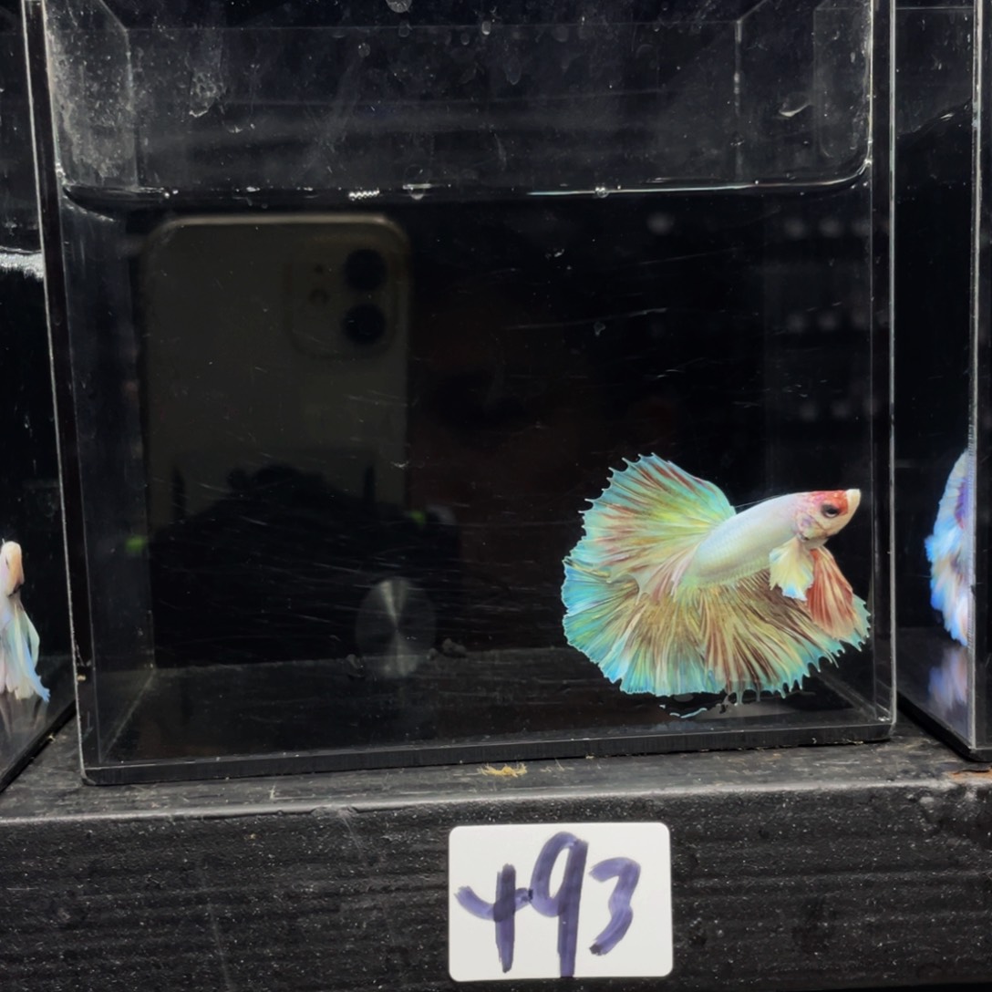 海水s**0哈哈哈哈哈哈哈哈哈