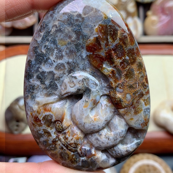 硅化珊瑚（珊瑚玉）颈饰未镶嵌