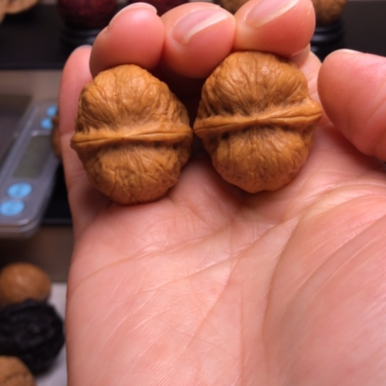 文玩核桃把件?***?玉龙金蟾10