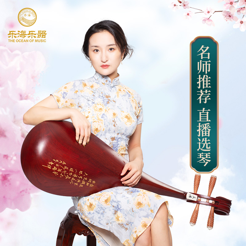 乐海 琵琶乐器非洲紫檀木材质原木色木轴木相花开富贵精典款912-2