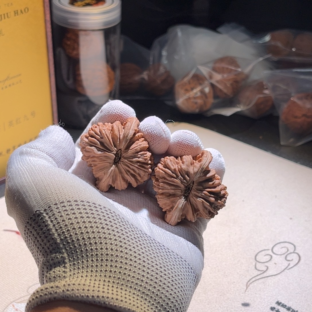 无***为扣子楼子扣子扣子 楼。