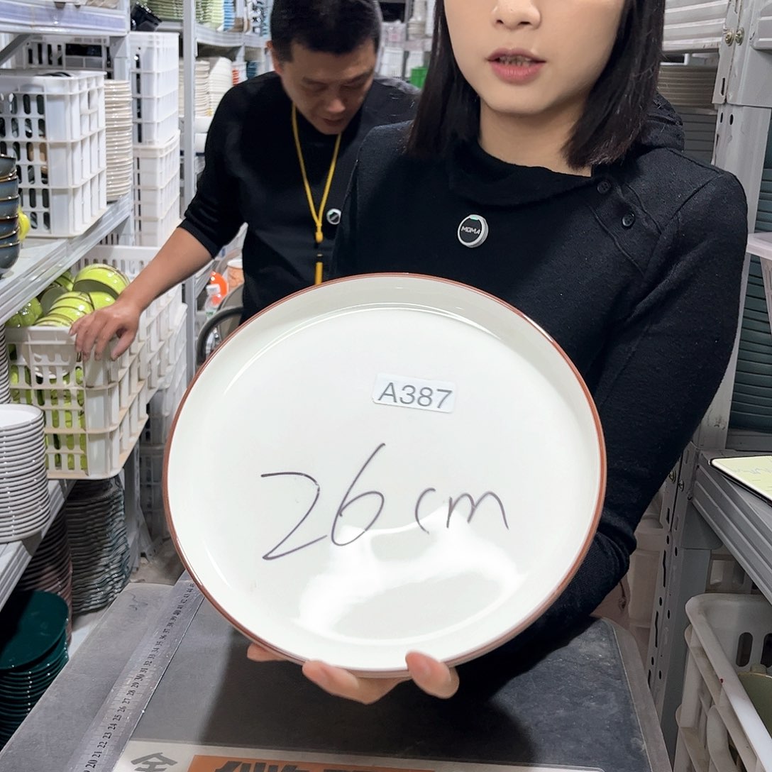 瓷片387               2个