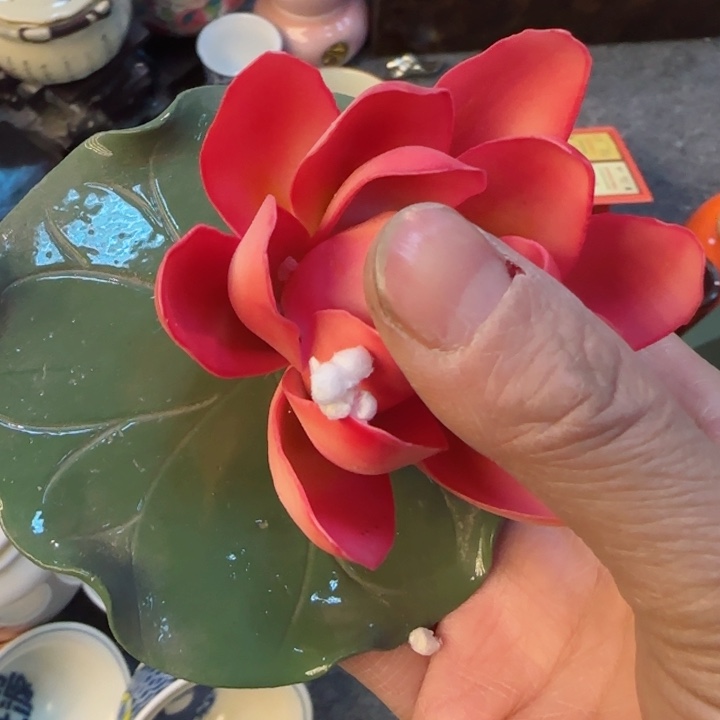 陶瓷杯/壶/罐/主人杯子