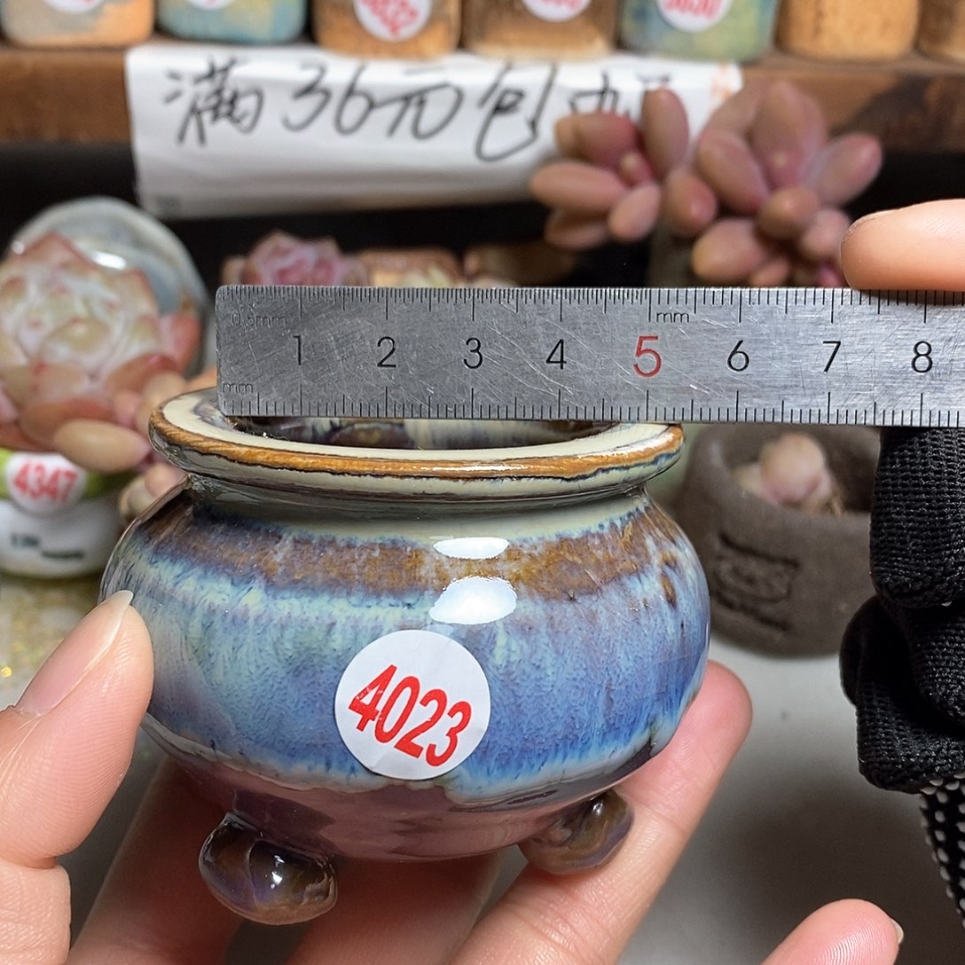 红陶拍5送一个小