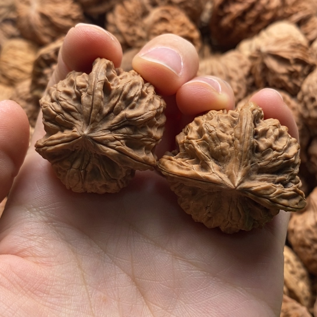 熬***狗核桃定制商品不退不换