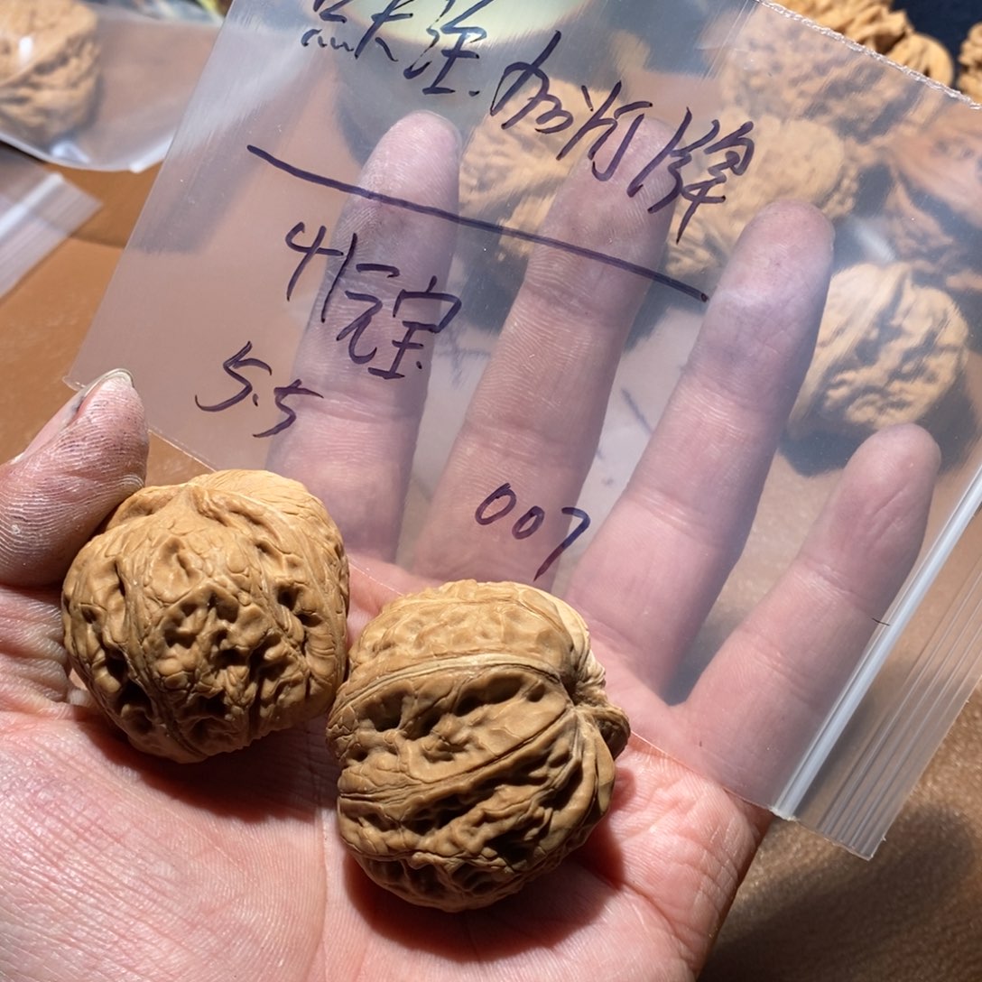手串/手链核桃007