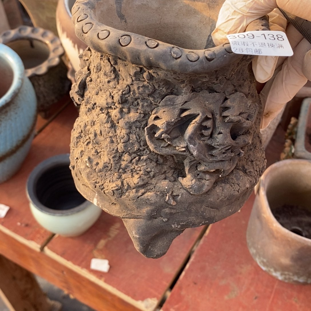 红陶颖**鸣238号多肉盆一个呀