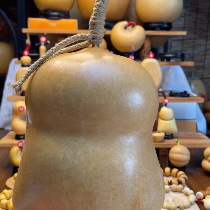 y***y天然葫芦自然生长