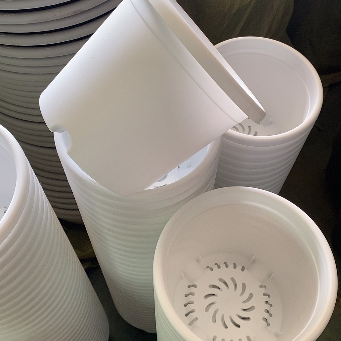 树脂四季2号纯白色6个无拖