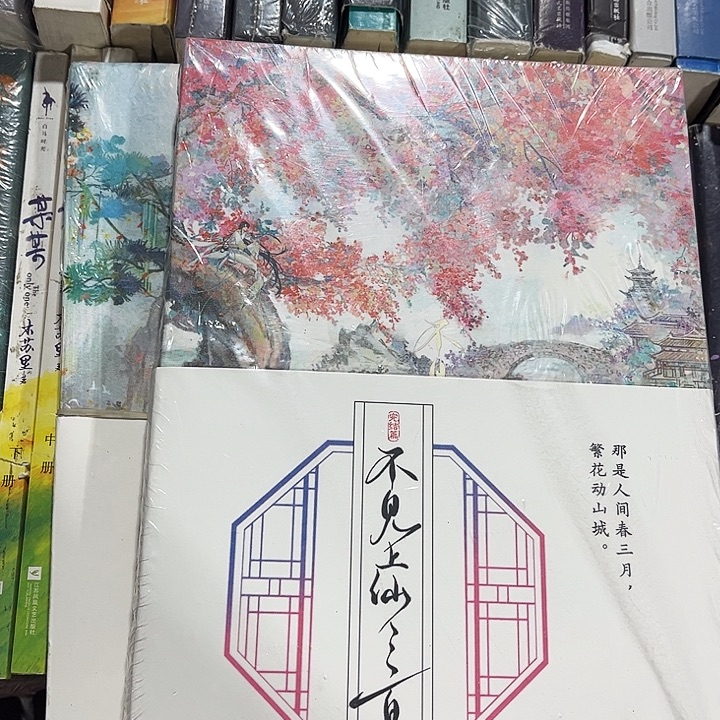 不见上仙三百年全新全套两本带周边