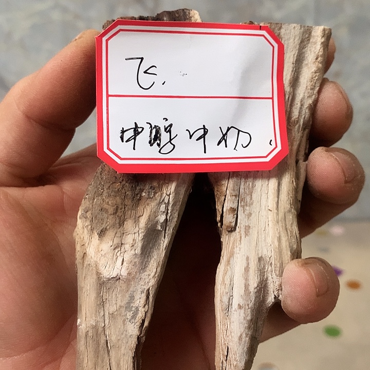 阿***籍大叶紫檀（黑酸枝木类）