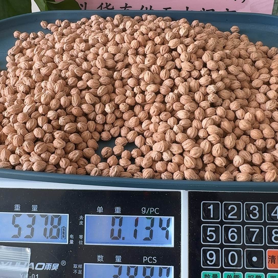 菜***Y吊坠柏香籽/百香籽537克FC014