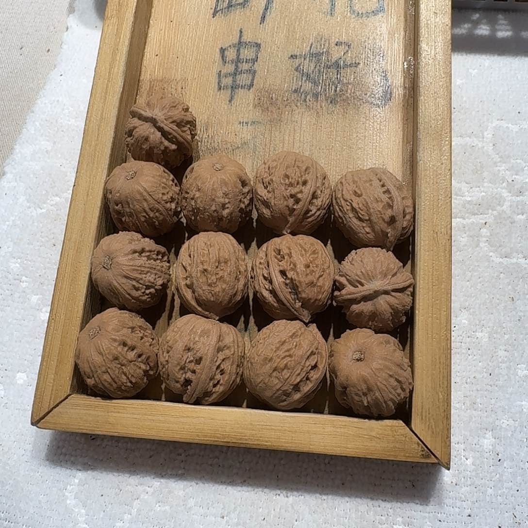 核桃手串/手链64号边22肚24高23