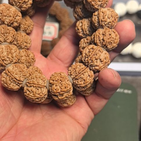 金刚菩提手串七瓣大金刚手串，20左右尺寸，精