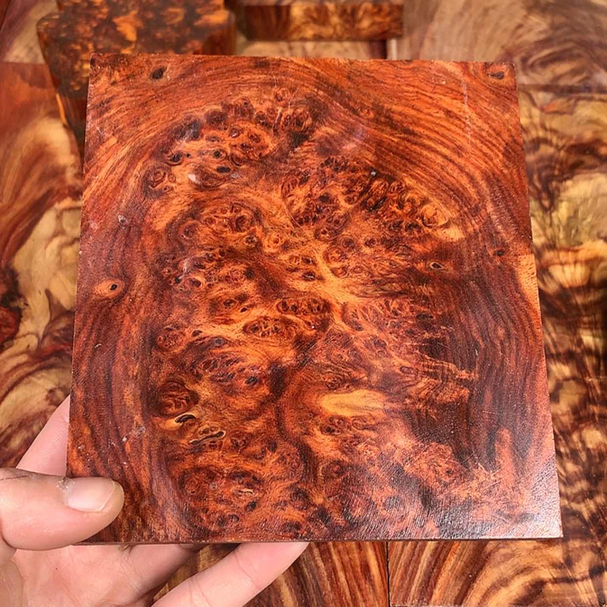 【闪购商品】黄花梨/降香黄檀乡**孩