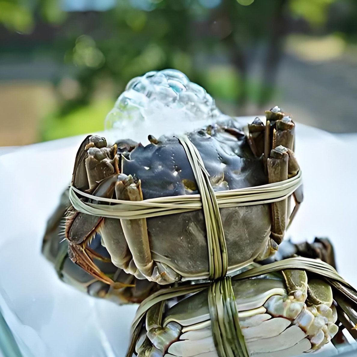 河蟹 母10只 单只2两左右 本市同城当日达