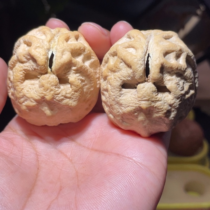 文玩核桃吊坠瓷娃娃鬼脸核桃