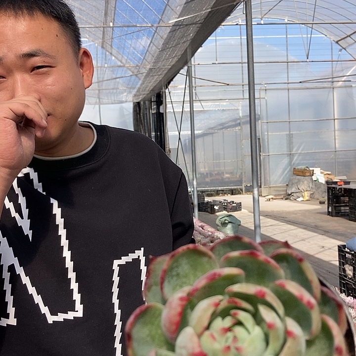 惊鸿小黑盆随机福利