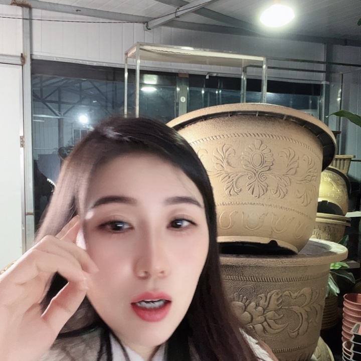 圆60口径花盆两个