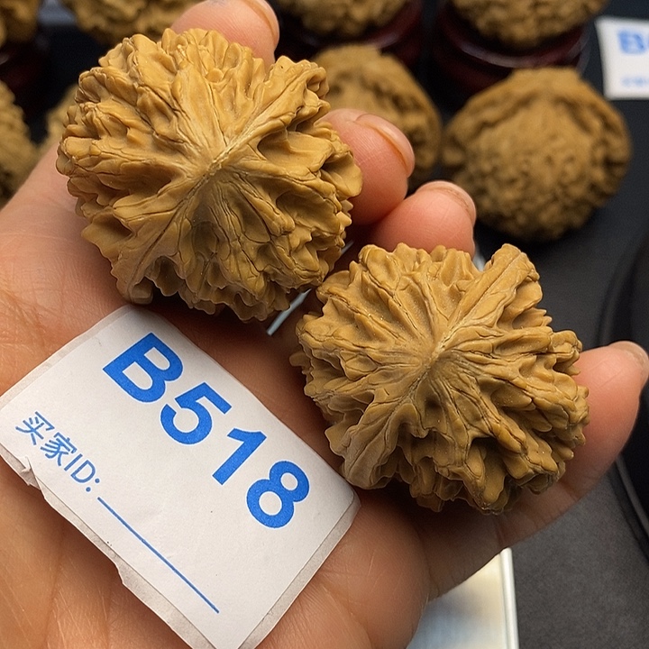 一***哥核桃老鼠4.8，高4.8，克重53