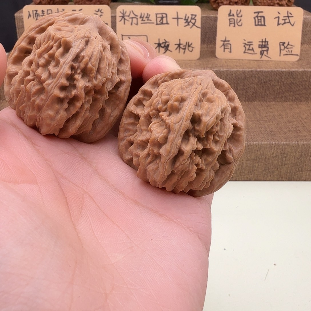 全品四座楼42/41/42