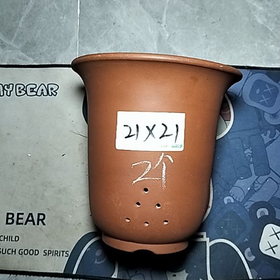大红金钟两个花盆
