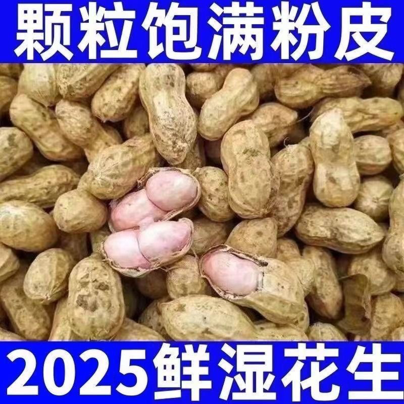2025年安徽新鲜花生小白沙罗汉果小花生湿花生现挖现发