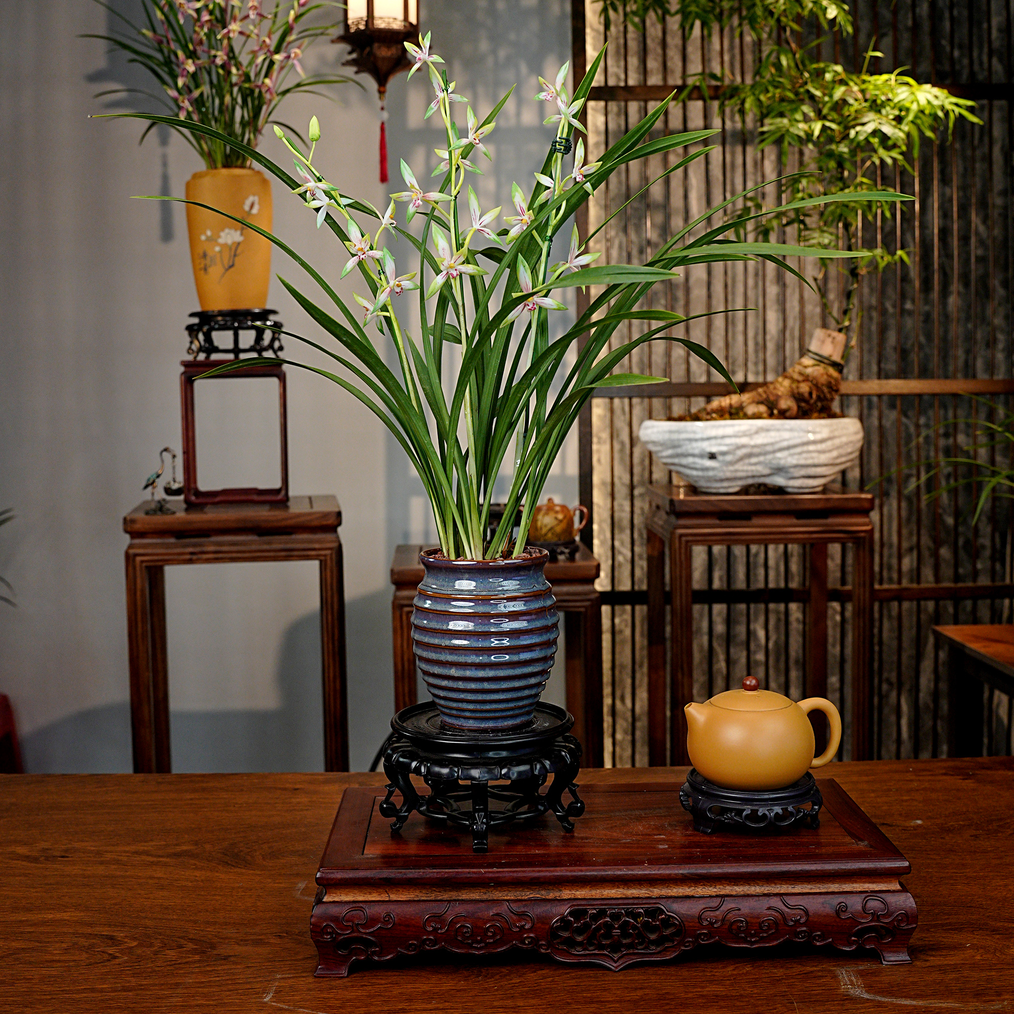 建兰铭品【仙山白鹤】浓香型兰花 带古风陶罐