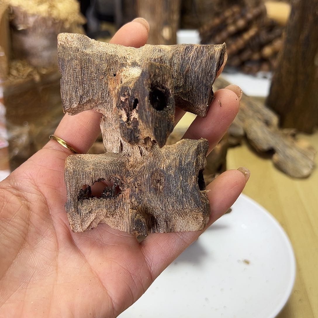 木绿奇楠虫漏原材料20克
