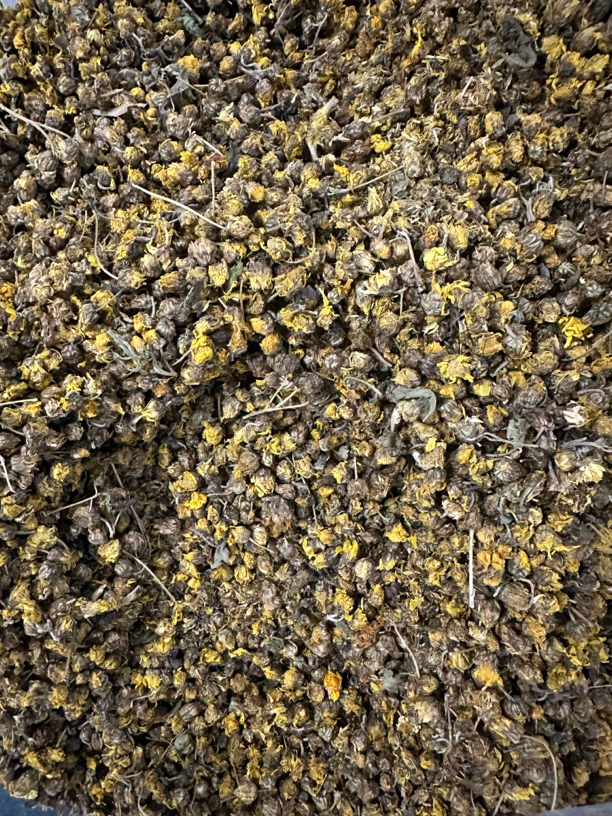 凤凰山脉文祠野菊花新货干净可泡水的农产品