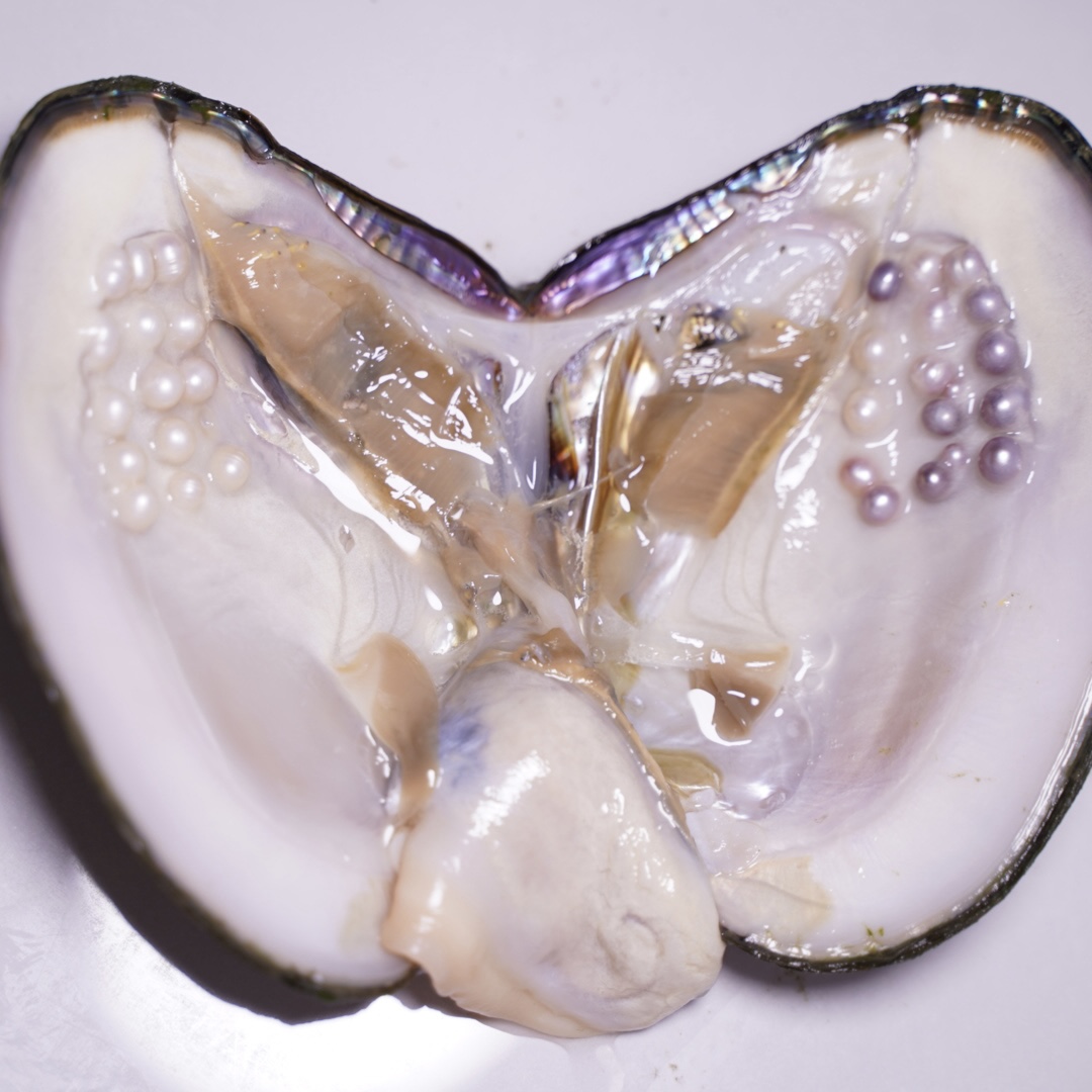 #小可爱多珠 无核 炫彩色 可定制DIY打孔