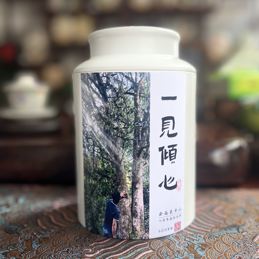 新茶友必拍【一见倾心壹号地2025】云南哀牢山普洱茶森林古树茶