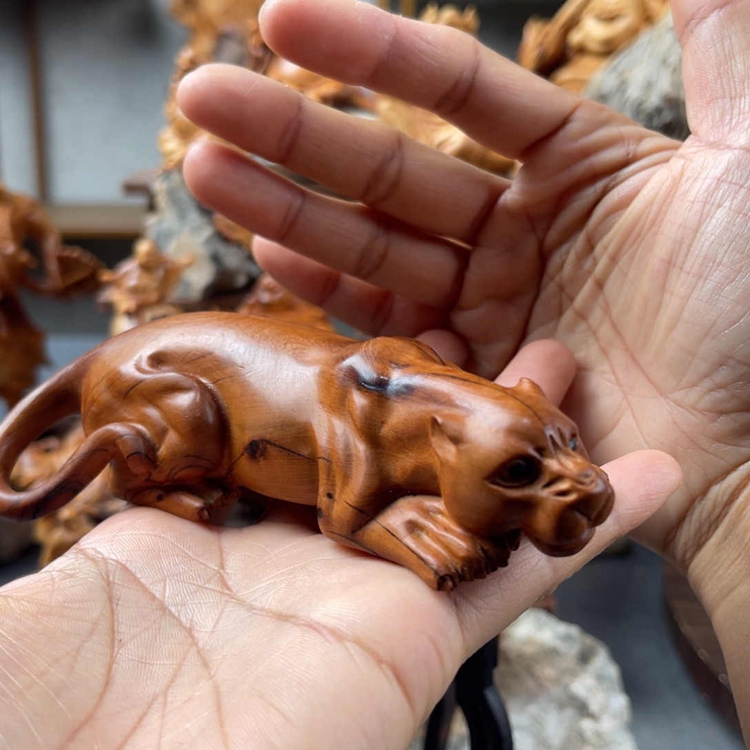 柏木（崖柏）崖柏太行山脉